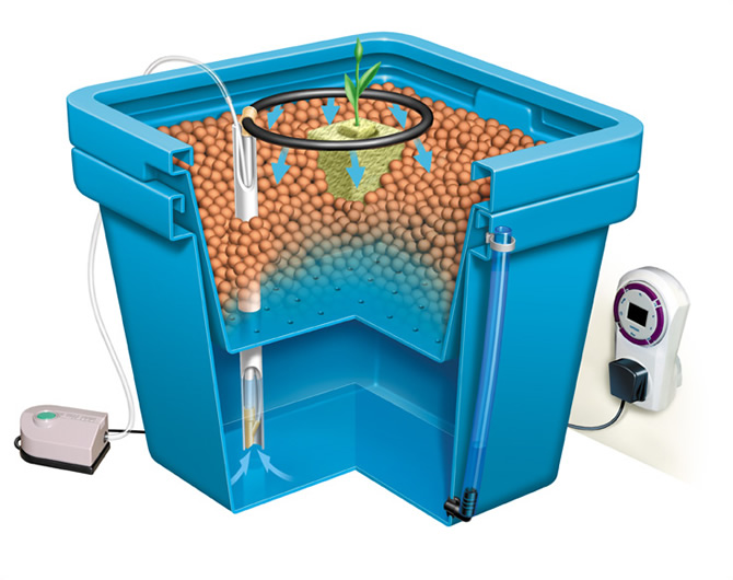 Hydroponic Drip Systems