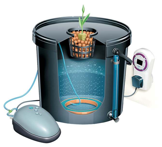 how to make a 1 plant hydroponic gadget