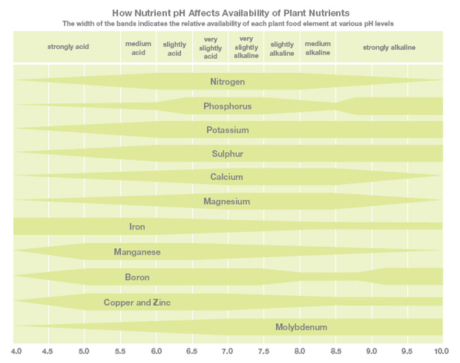 How Nutrient pH Affects Availability of Plant Nutrients
