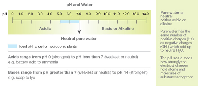pH and Water