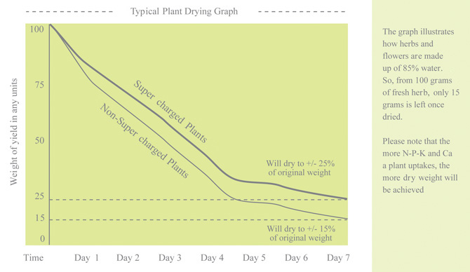 Typical Plant Drying Graph