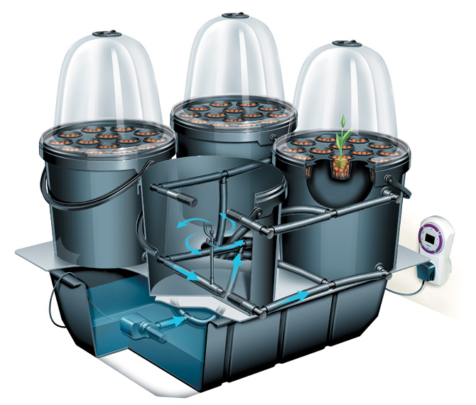 Example of an Automated Hydroponic Propagation System